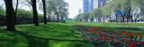 Public Gardens, Loop, Cityscape, Grant Park, Chicago, Illinois, USA