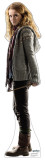 Harry Potter and the Deathly Hallows - Mini Hermione Granger