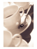 Mon Arabica
