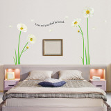 Poppy Flowers and Love
