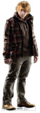 Harry Potter and the Deathly Hallows - Mini Ron Weasley