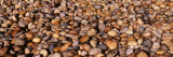 Buy Cobble Stone Near Lake, Bass Lake, California, USA at AllPosters.com