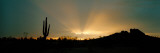 Desert Sun Beams, Near Phoenix, Arizona, USA