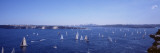 Yacht Race, Sydney Harbor, Australia