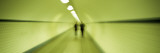 Buy Pedestrian Tunnel, Blurred Motion at AllPosters.com