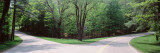 Fork in a Road Surrounded by Trees, Park Road, Letchworth State Park, New York State, USA