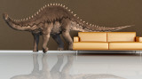 Buy Diplodocus at AllPosters.com