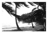 Hurricane Waves Strike the Seawall