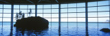 Shedd Aquarium, Chicago, Illinois, USA