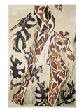 Buy Giraffes at AllPosters.com
