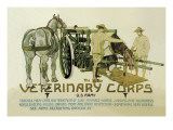 Buy Veterinary Corps. U.S. Army at AllPosters.com