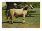Buy General Grant's Charger at AllPosters.com
