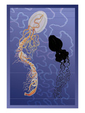 Buy Pair of Jellyfish at AllPosters.com