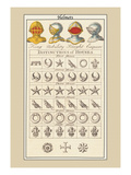 Buy Helmets and Distinction of Houses at AllPosters.com