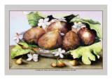 Buy Dish of Figs with Jasmine and Small Pears at AllPosters.com