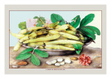 Buy Dish of Broad Beans at AllPosters.com