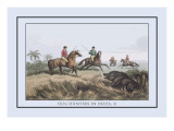 Buy Hog Hunters in India at AllPosters.com