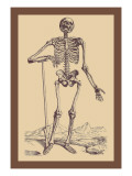 Buy Skeleton with Shovel at AllPosters.com