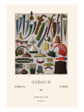 War Gear of Oceania