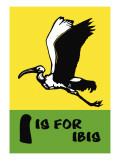 Buy I is for Ibis at AllPosters.com