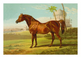 Buy Goldie Arab at AllPosters.com