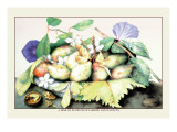 Buy Dish of Plums with Jasmine and Walnuts at AllPosters.com