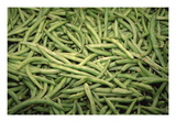 Buy Green Beans at AllPosters.com