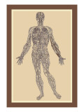 Buy Nervous System at AllPosters.com