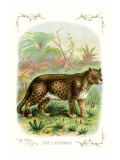 The Leopard