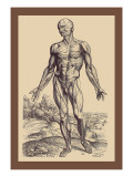 Buy The First Plate of the Muscles at AllPosters.com