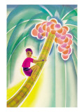 Coco-Palm