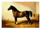 Buy Don Carlos at AllPosters.com