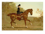 Buy Book of the Horse at AllPosters.com