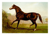 Buy Blair Athol at AllPosters.com