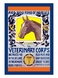 Buy Join the Veterinary Corps at AllPosters.com