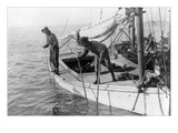 Buy Fishing Oysters in Mobile Bay at AllPosters.com