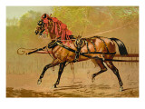Buy State Carriage Horse at AllPosters.com