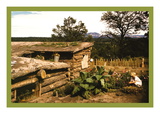 Buy Dugout Home Graden of Jack Whinery in Pie Town at AllPosters.com
