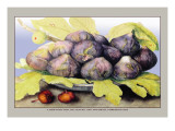 Buy Dish with Figs, Fig Leaves and Small Pomegranates at AllPosters.com