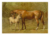 Buy Thoroughbred Mare and Foal at AllPosters.com