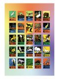 Animal Alphabet