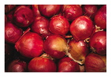 Buy Red Onions at AllPosters.com