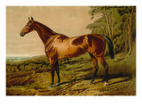 Buy Fair Nell at AllPosters.com