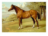 Buy Stilton, A Hunter at AllPosters.com