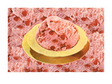 Buy Strawberry Ice Cream at AllPosters.com