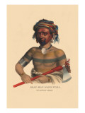 Buy Shau-Hau-Napo-Tinia, Ioway Chief at AllPosters.com