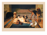 Buy Domestic Scene at AllPosters.com