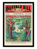 The Buffalo Bill Stories: Buffalo Bill's Camp Fires