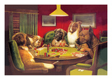 Buy Bold Bluff at AllPosters.com