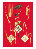 Grains: Barley, Buckwheat, and Rice Wall Decal